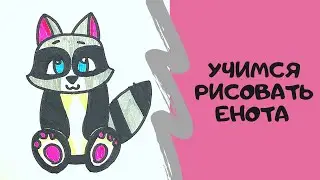 Енот.Как нарисовать Енота. 