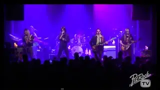 Couldn’t Get It Right by Climax Blues Band cover by PetRock