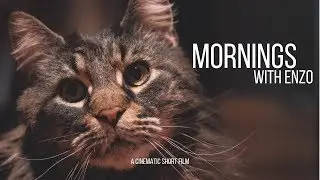 MORNINGS WITH ENZO - A CINEMATIC SHORT FILM | SONY A6500 + SIGMA 16mm f1.4