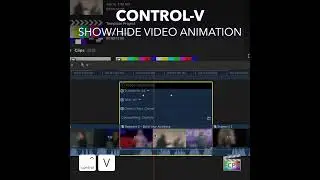 Final Cut Pro Shortcut | Control-V | Show or Hide Video Animation