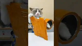 🐾 Puff’s guide on wrapping sticky mouse boards safely! #SafetyFirst #PuffHacks #ThatLittlePuff