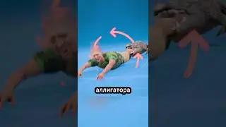 Когда аллигатор атакует: есть ли шанс на спасение? 🐊😱 