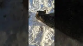 бандиты на выходе с озера. Рэкет. Беспредел.