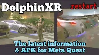 DolphinXR Meta Quest 2024 APK
