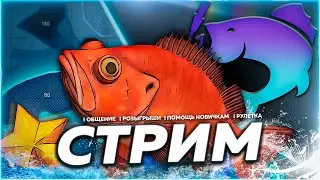🔥С МЕСТА ⭐ РЕДКИЕ ВИДЫ НА 144 ЯМЕ 🎁Рулетка & Розыгрыши 🏆 СТРИМ РР4