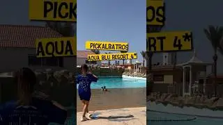 ✈️ Летим в Египет 🇪🇬 Pickalbatros Aqua Blu Resort Sharm El Sheikh 4* обзор отеля 