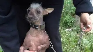 Деактивация подарка за бутылку водки