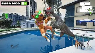 TERMİNATÖR BABA MODUNU AÇTI! YAVRULARINI ZEHİR'DEN GERİ ALIYOR! - GTA 5
