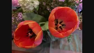 Paul Snoek (1933-1981) - Gedicht - 'Conversatie met mijn bloemen'