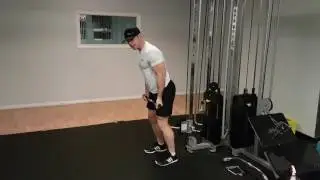 Cable Curls Face Away - DC FIT