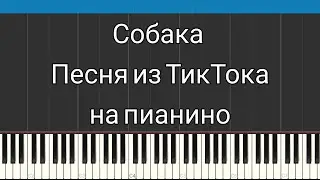 Собака Песня из Тик Тока на пианино | FREE НОТЫ