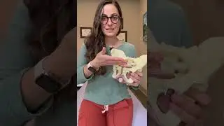 😮‍💨Try this to relax tight pelvic floor muscles! #pelvicfloorexercises #pelvicfloor #pelvichealth