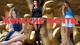 Женская психология / АНАЛИЗ БЕЗУМИЯ