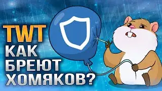 TWT - что происходит? Технический разбор монеты. Цели, подборы