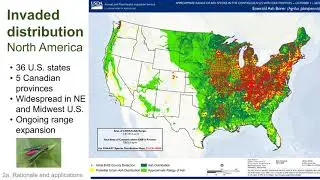 Real-time forecasts of phenology and climate suitability for emerald ash borer in the U.S.A.