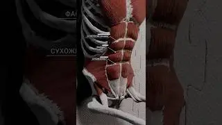 ЧТО ТАКОЕ 