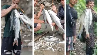 🎣🎣🎣🎣