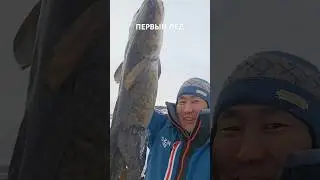 Объявляю сезон первого льда - открытым! 