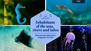 Water inhabitants. English Doman cards - Kids vocabulary - English educational video
