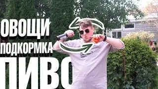 ПОДКОРМКА ТОМАТОВ 🍅 Подкормка пивом