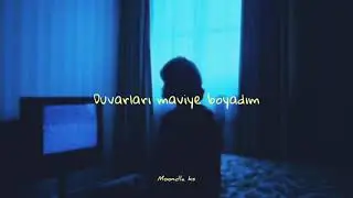 Haramiler ~ Mavi Duvar (sözleri)