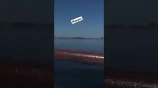 20 мая 2024 г.