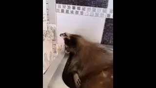 База, база ответьте