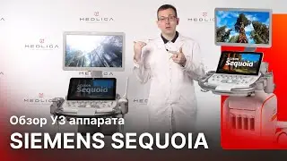 Обзор УЗИ аппарата Siemens Acuson Sequoia