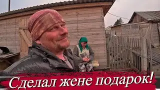 Издеваемся над мотоблоком. Свиней выкинули на улицу. У пса украли будку. Наша жизнь в деревне.