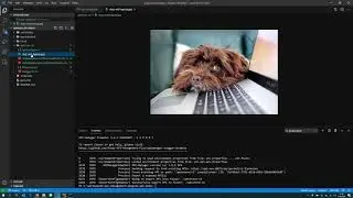 API Manager CLI