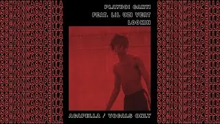 Playboi Carti ft. Lil Uzi Vert ~ Lookin (Acapella/Vocals only) 148 BPM