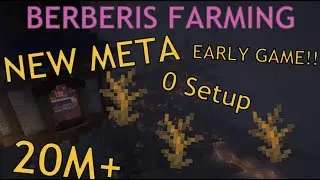 NEW META 20m+ per hour Berberis Hypixel Skyblock