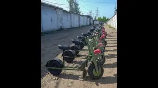 Классический и тактический Лесной Кот. Отличие и цена.