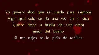 Algo que se Quede - Niche - Letras