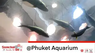 Vlog19 @Phuket Aquarium (21 Nov 2019)