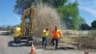 Best Fails of June 2025 🤣 Funny Fails Caught on Camera
