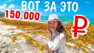 Доминикана. Водоросли в Баваро. Все включено, отель 3 звезды