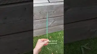 Mini-Vlog 🐛All I'm looking for is peace, really 