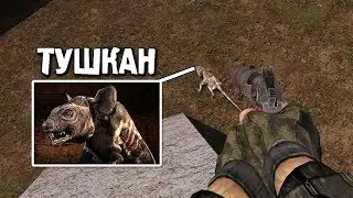 ПЕРВОЕ ОРУЖИЕ. S.T.A.L.K.E.R. NLC 7: Я - Меченный #2