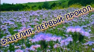 ИТОГИ 2023 ГОДА. ПЕРВЫЙ ПРОКОЛ С ФАЦЕЛИЕЙ.