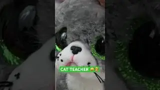 CAT TEACHER 😺👩‍🏫 #shorts
