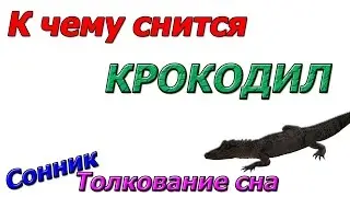 К чему снится крокодил, толкование