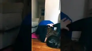 Newest Amazing Flexibility Challenge | cute flexible girl