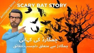 All about Bats | Sabi Story | Bat story || Urdu-Hindi