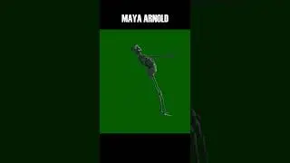 Arnold vs Maya #arnold #maya #render #autodesk #3d #3danimation #vfx #skeleton #rendering #video