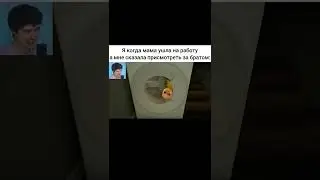 Я когда мама ушла на работу #meme #windy31 #thebabyinyellow