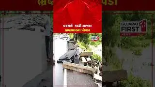 Vadodaraથી Statue Of Unityનો રોડ ધોવાયો | Gujarat First