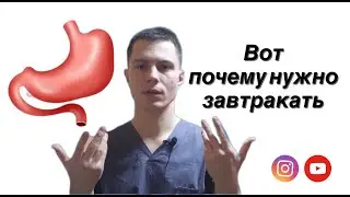 Здоровье. Время активности желудка. Суточные биоритмы желудка по У-СИН. Дмитрий Pain