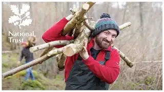 Did you know the UK has rainforests? Explore Borrowdale in the Lake District with the National Trust
