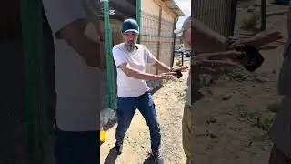 Агрессия на хозяев.
